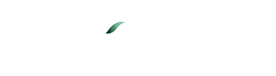 Petalos Flowers logo